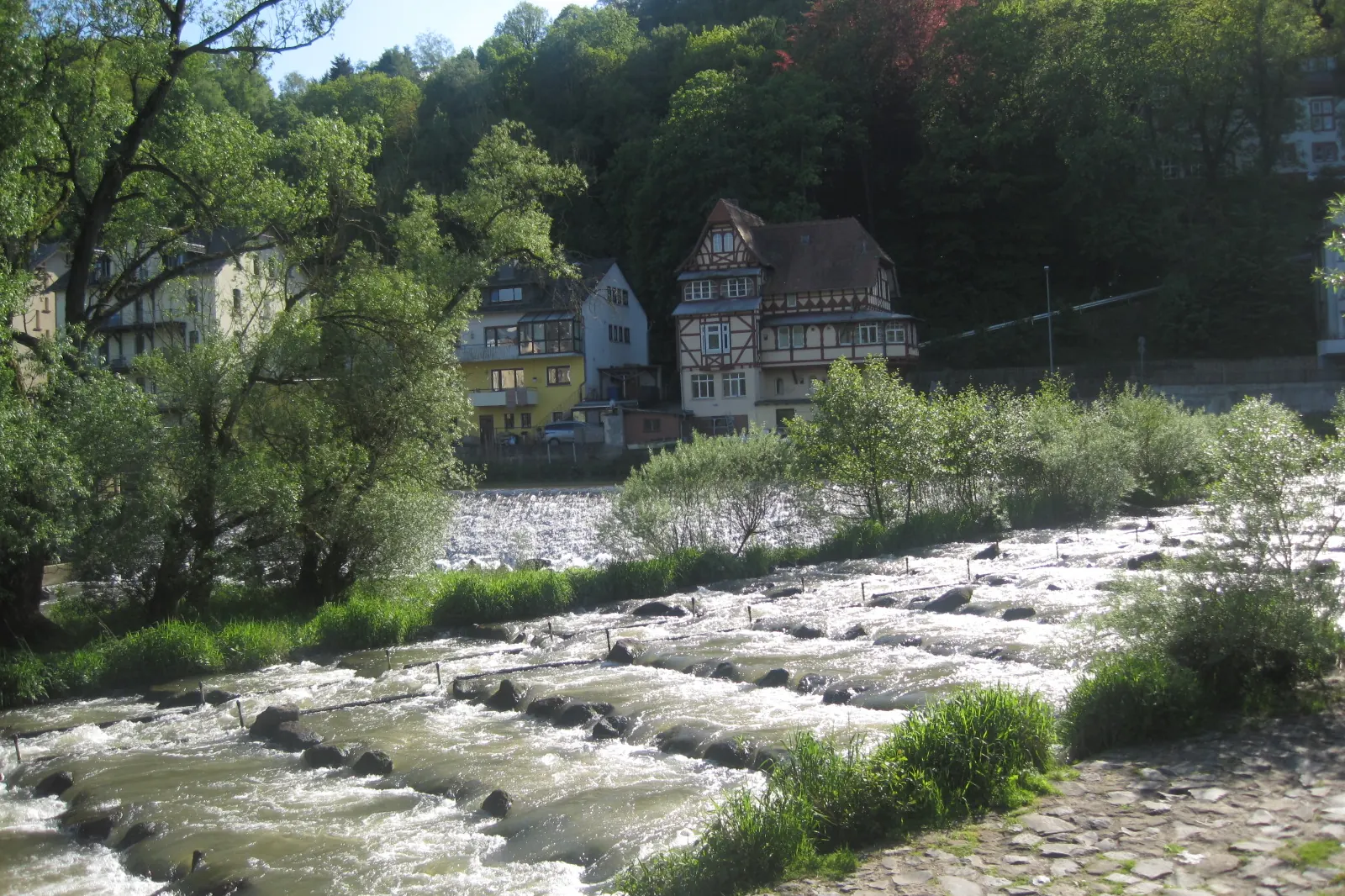 Wehr an der Lahn in Marburg mit treppenartiger Fisch- und Bootsgasse, dahinter Fachwerkhäuser